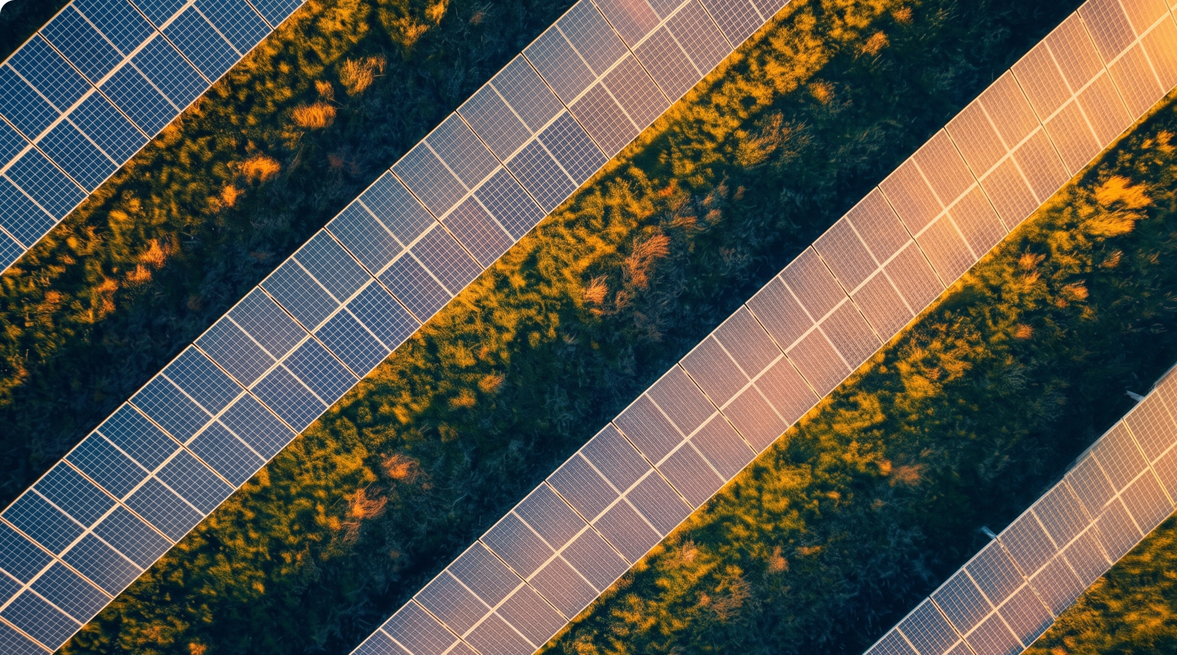 Springwell Solar Farm DCO